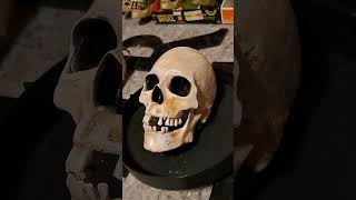 Animated Skull on Platter Halloween Prop