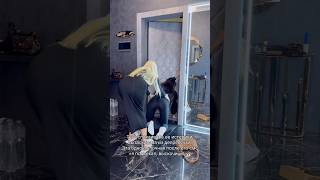 Ты Успокаивала Ее, Вытаскивала Из Депрессухи.эта Одноклеточная После Смс Я Подьехал, Выскочишь ?