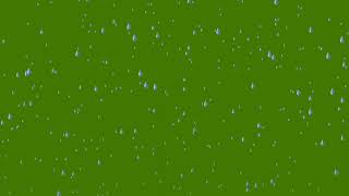 Rain Fall Green Screen