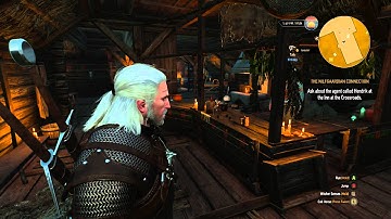 the witcher 3 part 4 find the spy