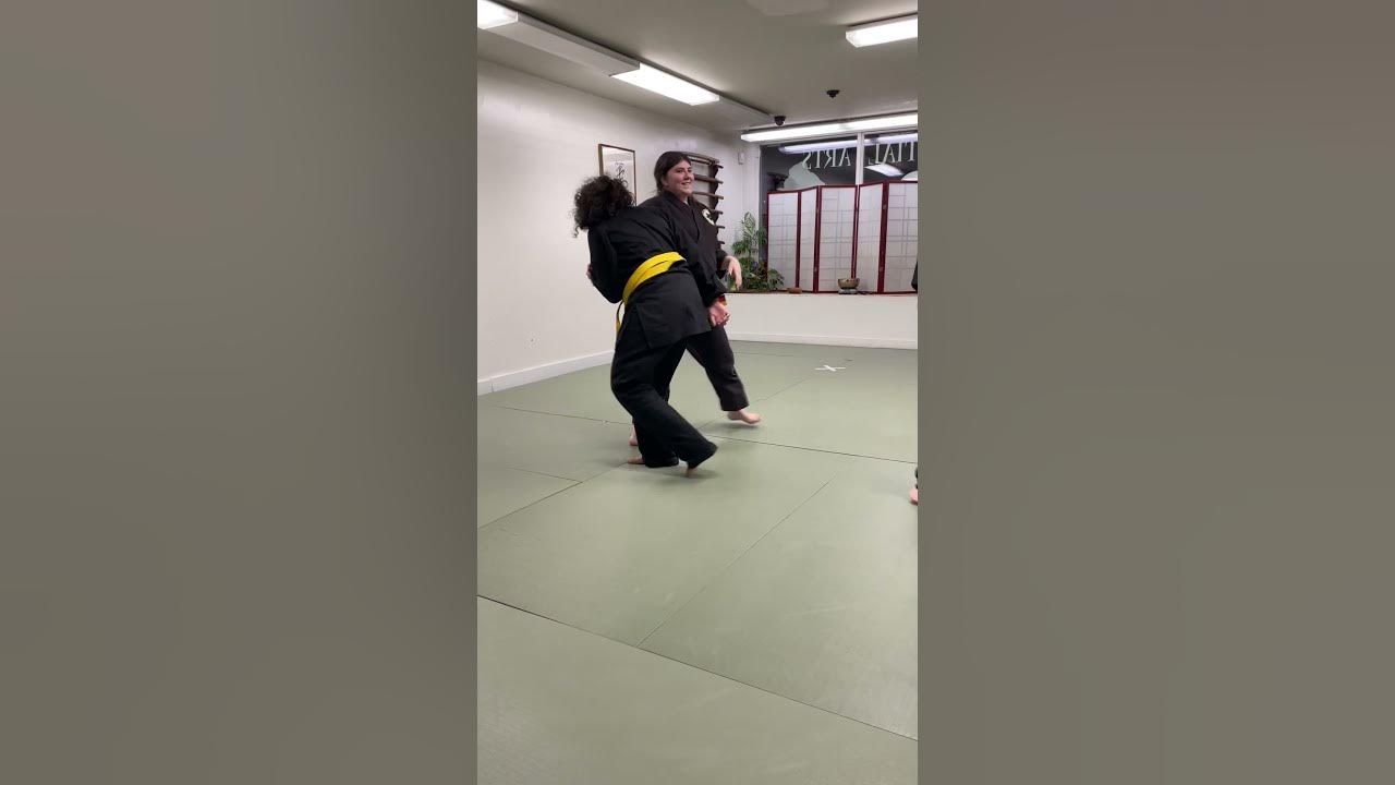 Aikijujutsu Techniques and Instruction shorts aikido aikijutsu 