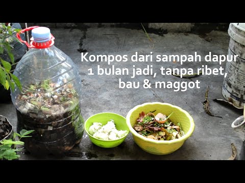 Video: Composted Onion Waste - Tips Menambahkan Bawang Di Tumpukan Kompos