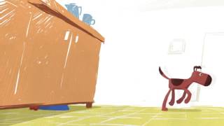 Pet-Friendly South Carolina Real Estate – SC Homes Video