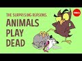 The surprising reasons animals play dead - Tierney Thys