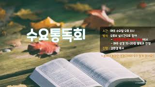 21/09/29 수요통독회 - 온라인 성경통독 (창 1-20장)