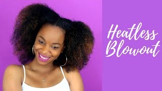 How to Get a Blow Out Look Without Heat | Natural Hair by NaturalCanadianGirl 414 views 5 years ago 4 minutes, 4 seconds