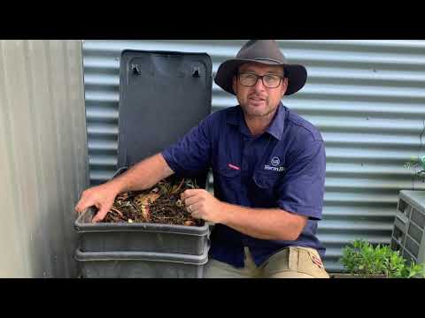 Video: Sliekai kompostavimui – idealus sliekų skaičius komposte