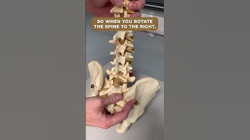 Facet Joints Opening and Closing in the Lumbar Spine. #backpain #backpaintips #physicaltherapy