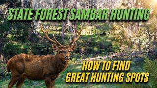 My 3-Step System for Finding a Perfect Hunting Spot (Works Anywhere)