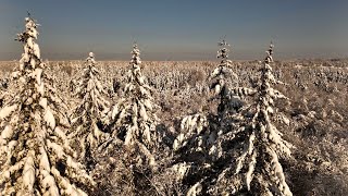 Drohnenaufnahmen vom &quot;Winter-Wonderland&quot; am 3.12.2023