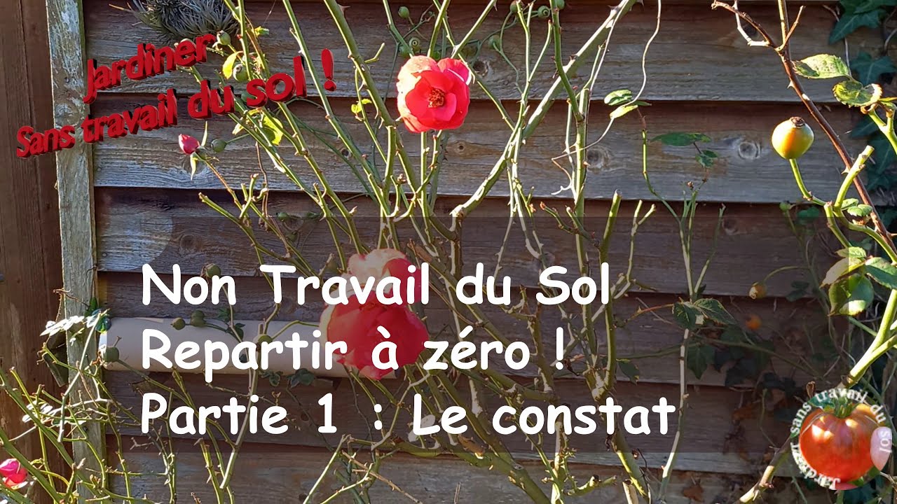 Sans Travail du Sol Repartir a zéro ! 1ere Partie : Le constat