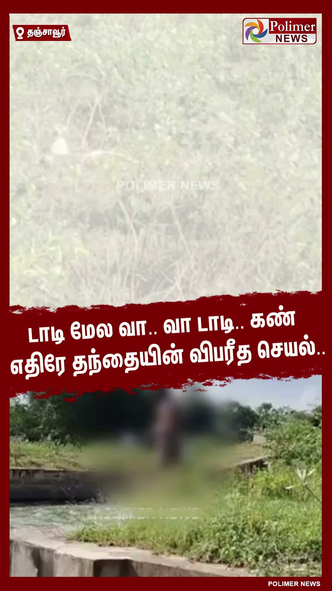டாடி மேல வா... வா டாடி.. கண் எதிரே தந்தையின் விபரீத செயல்..  #shorts