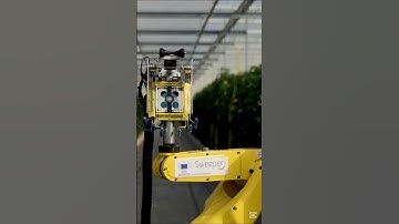 Meet SWEEPER: The Pepper Picking Robot!