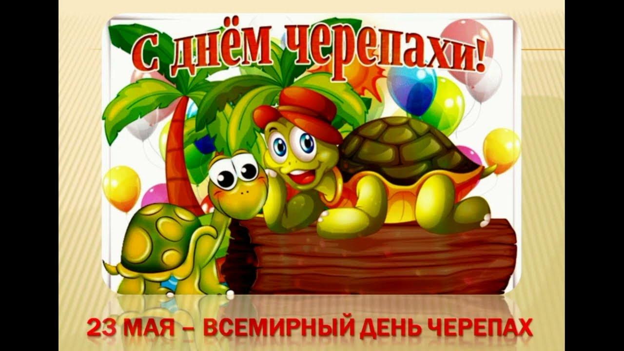 23 мая народные приметы. 23 мая народный календарь. народный календарь май. день каштановых свечек 23 мая. май 23.