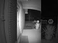 The Doorbell That Rang by Itself 🔔🌙 #latenightalert #unexplainedmoments #homesecurity #watchagain