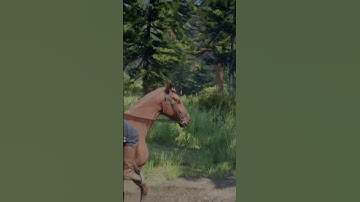 Red Dead Redemption 2 horse ride  #rdr2 #shorts