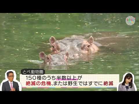 絶滅の危機▽SDGs学園PLUS　2022年4月30日放送