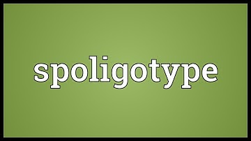 Spoligotype Meaning
