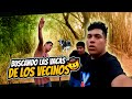 BUSCANDO las VACAS 🐮  de nuestros VECINOS *nos metimos al bosque*