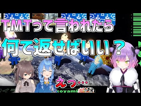 TMTと言われたときの受け答えに悩むトワ様【常闇トワ/ホロライブ切り抜き】