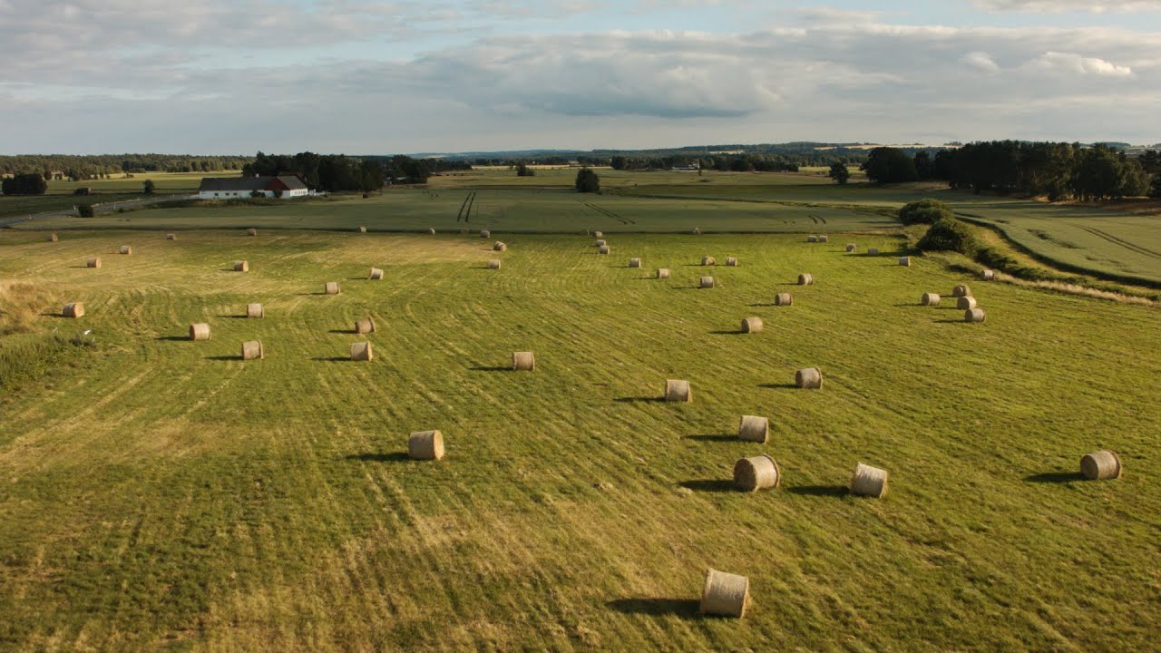 1608. Odlingslandskap (Farm landscape) Drone Stock Footage Video
