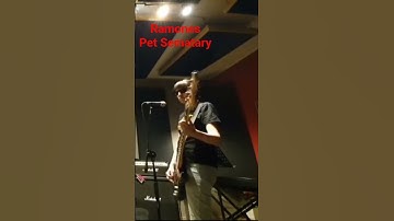 Thumbnail of Ramones- Pet Sematary - Bass & Drum Live Recording #ramones