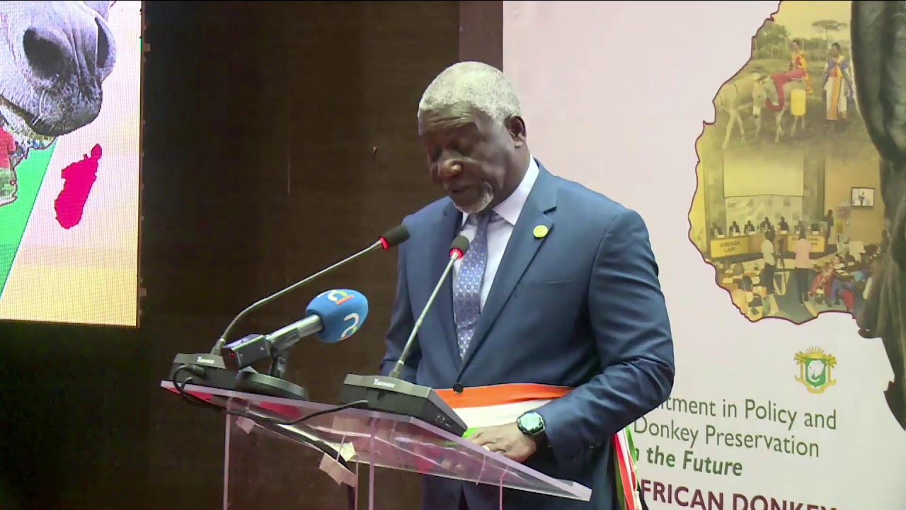 THE SECOND PAN-AFRICAN DONKEY CONFERENCE 2025