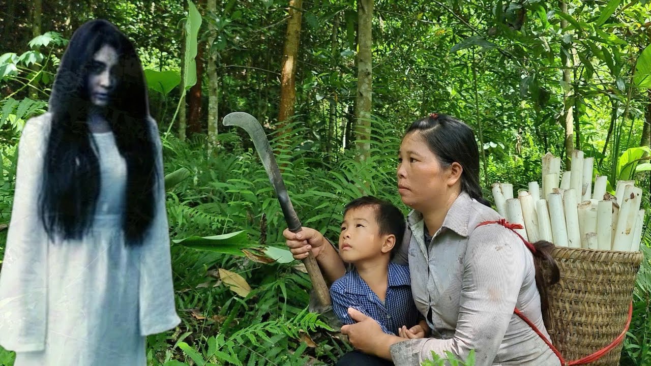 Single Mother in Danger in the Forest - Harvesting Banana Cores to Sell ...