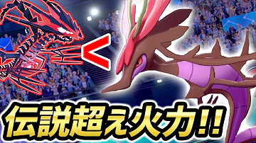 剣盾 ドラミドロ