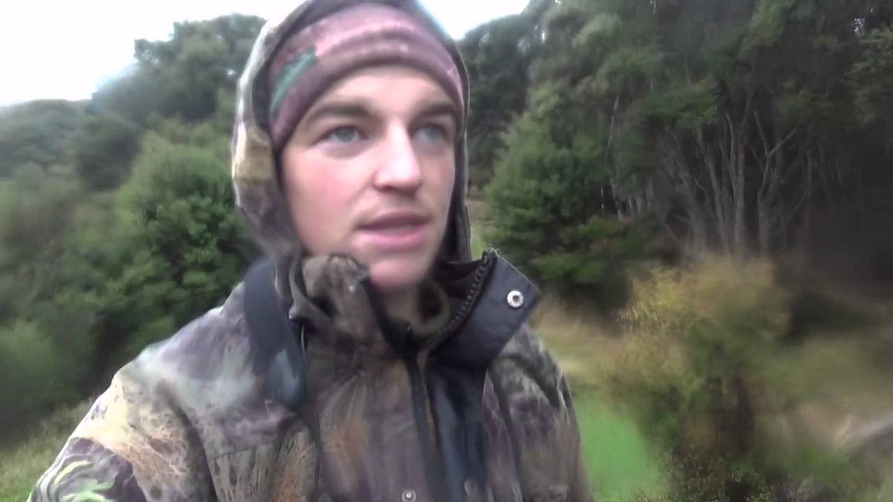 red stag and ram hunting 