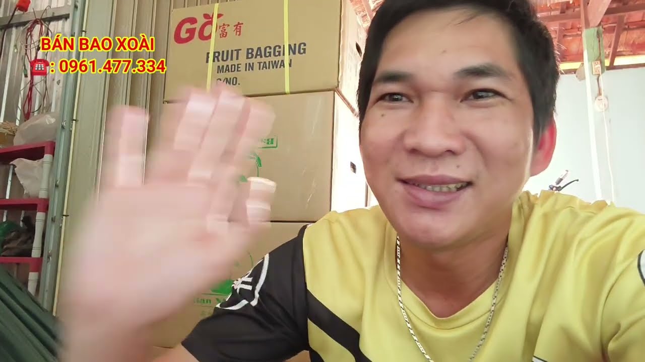 Цены на тайваньское манго сегодня, 26 февраля 2026 года.