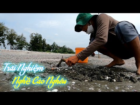 Trãi Nghiệm Cào