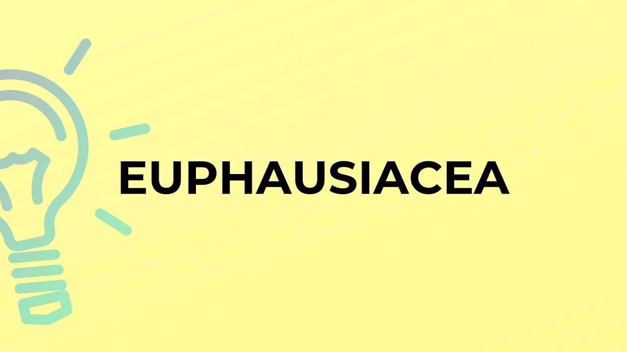 What is the meaning of the word EUPHAUSIACEA?