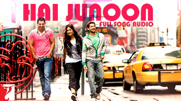 Hai Junoon - Full Song Audio | New York | KK | Pritam