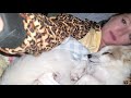 Cuddling with a fox