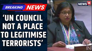India's Stern Message To Pakistan At UNSC: Don't Use Council To Delist Terrorists | News18