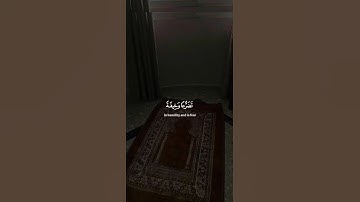اكتب شيء تؤجر عليه 😴🤍 القارئ ياسر الدوسري