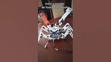 Arana robótica estilo cyberpunk 2077 #robotica #cyberpunk2077 #arduino #raspberrypi #fyp #parati