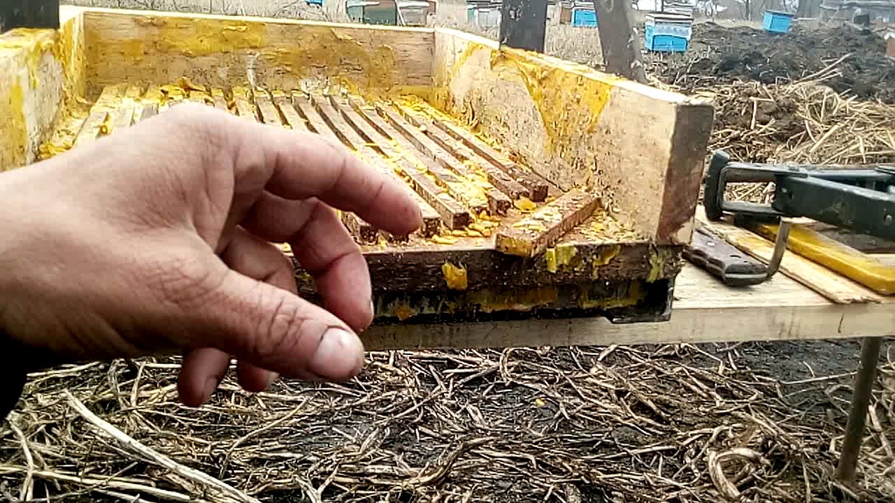 Пресс лисица для воска своими руками чертежи