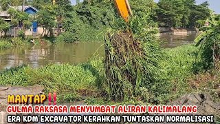 MANTAP‼️GULMA RAKSASA MENYUMBAT ALIRAN KALIMALANG ERA KDM EXCAVATOR KERAHKAN TUNTASKAN NORMALISASI