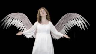 Angel wings 1. after effects