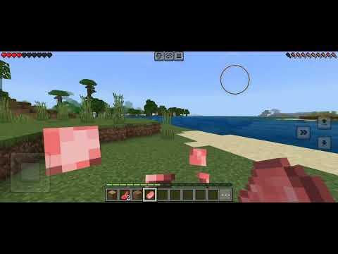 Mastering Minecraft: The Ultimate Player's Guide