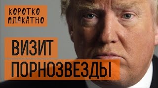 КороткоПлакатно: ВИЗИТ ПОРНОЗВЕЗДЫ. Администрация Трампа – профи! КороткоПлакатно: ВИЗИТ ПОРНОЗВЕЗДЫ. Администрация Трампа – профи!