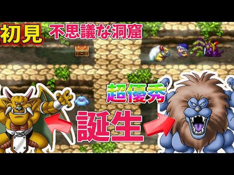 8 ドラクエモンスターズ キングレオとアクバーそして 配合たのしすぎ テリーのワンダーランド を完全初見プレイ テリワン Ps版 Youtube