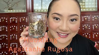 Download lagu Learn about what we do - It’s all about “HuoXiang”/Agastache Rugosa