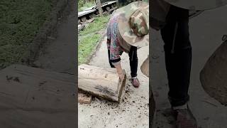 Bee transplantation process for honey cultivation in the near future