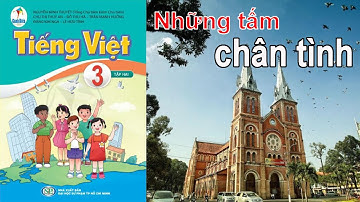 Bài 13 - Bài đọc 2: NHỮNG TẤM CHÂN TÌNH trang 35 || Tiếng Việt Lớp 3 Tập 2 Sách Cánh Diều 2022