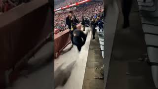 Это лучшее сальто, которое вы могли когда либо видеть 😅#сальто #fails #girl #funny #fun #stadium