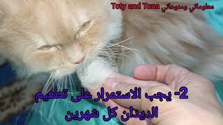 افضل طريقة لمنع تساقط شعر القطط The best way to prevent cat hair loss