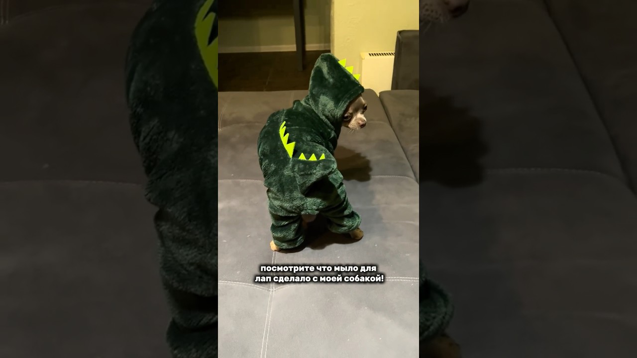 Мыло для лапок #WW227520 &mdash; просто копируй вместе с буквами и вставляй на ВБ 😊